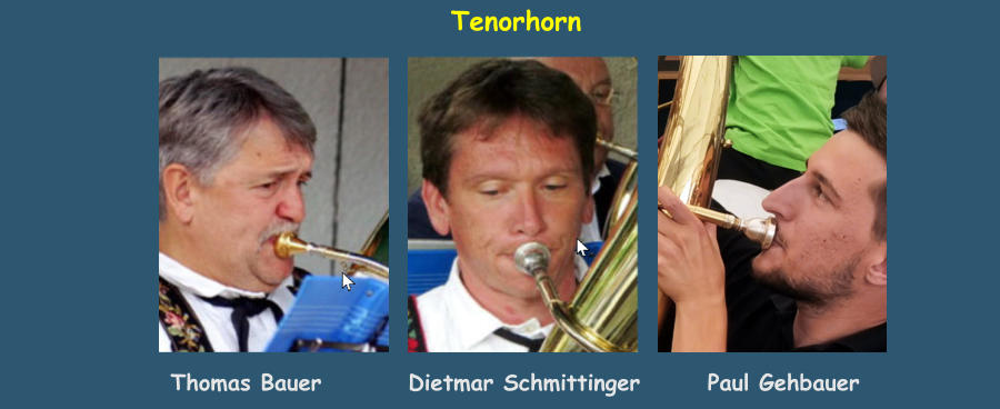 Tenorhorn          Thomas Bauer         Dietmar Schmittinger       Paul Gehbauer